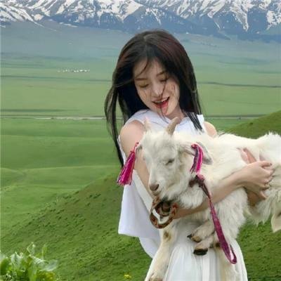 情义我心知粤语