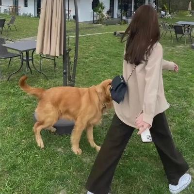 宫廷斗鸡